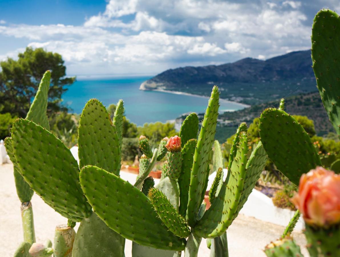 Casa Molo 13 Villa Mattinata Dış mekan fotoğraf