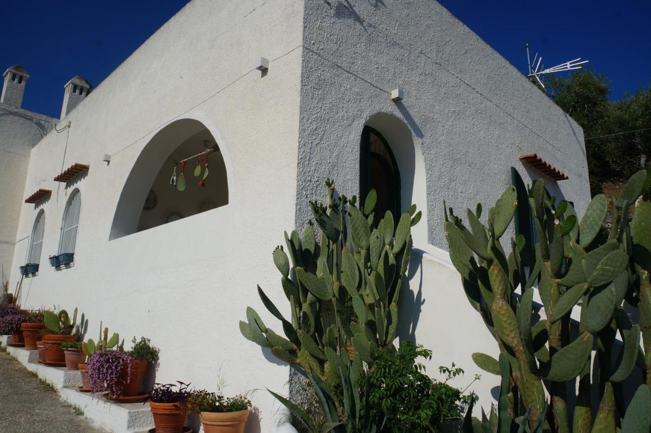 Casa Molo 13 Villa Mattinata Dış mekan fotoğraf