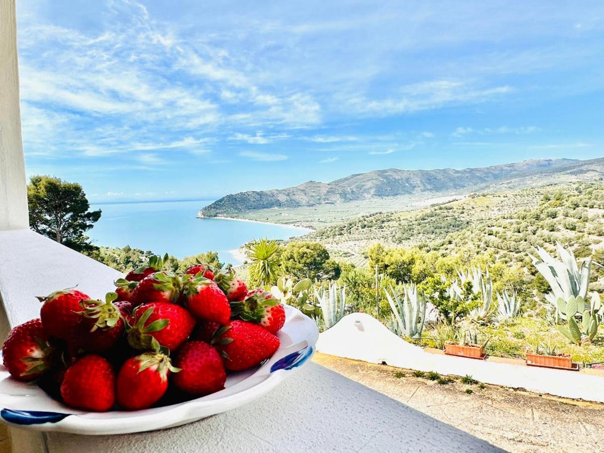 Casa Molo 13 Villa Mattinata Dış mekan fotoğraf