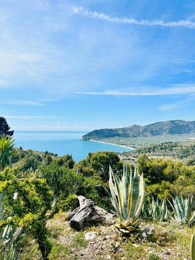 Casa Molo 13 Villa Mattinata Dış mekan fotoğraf