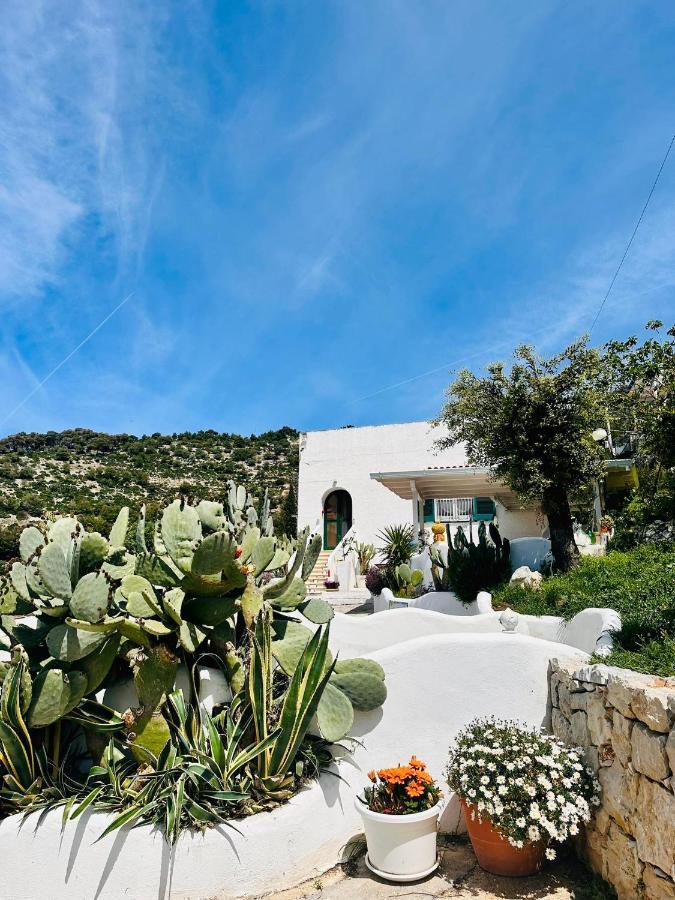 Casa Molo 13 Villa Mattinata Dış mekan fotoğraf
