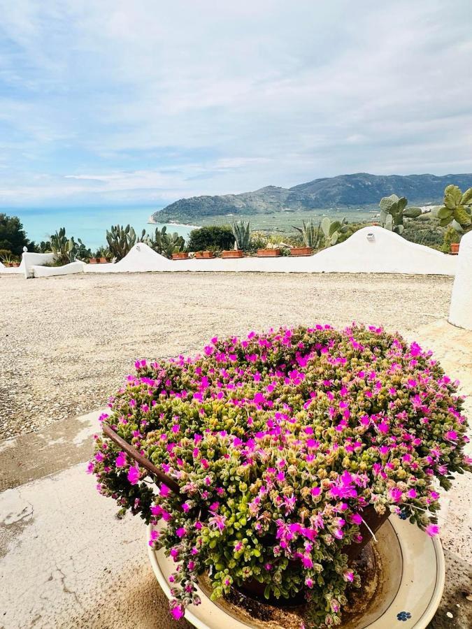 Casa Molo 13 Villa Mattinata Dış mekan fotoğraf