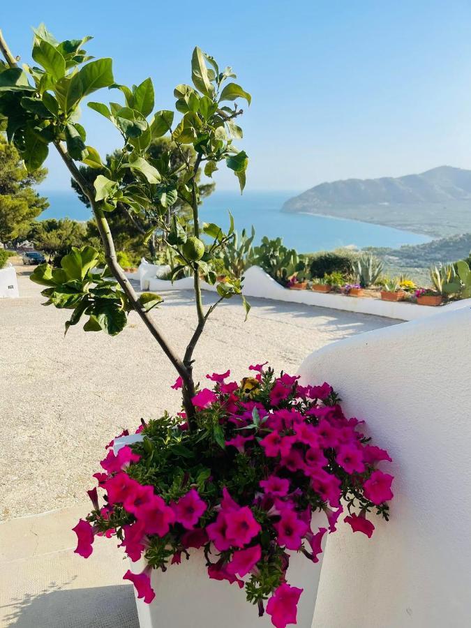 Casa Molo 13 Villa Mattinata Dış mekan fotoğraf