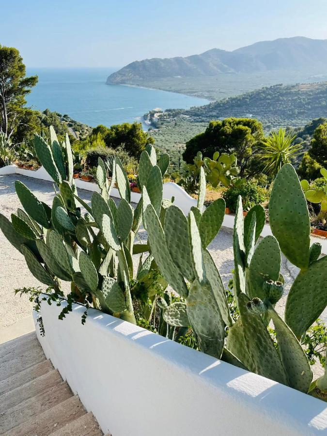 Casa Molo 13 Villa Mattinata Dış mekan fotoğraf